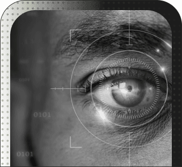 Vision
